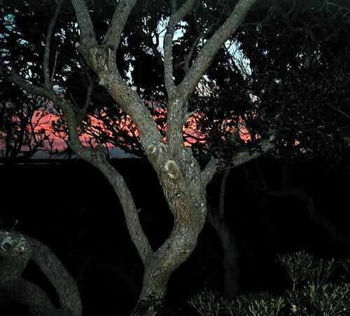 Sunset view of intercoastal water (dusk) - 3145 Coastal Hwy
