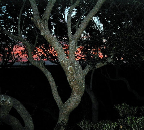 Sunset view of intercoastal water (dusk) - 3145 Coastal Hwy