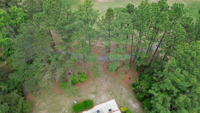 Building Photo - 917 Holley Lake Rd