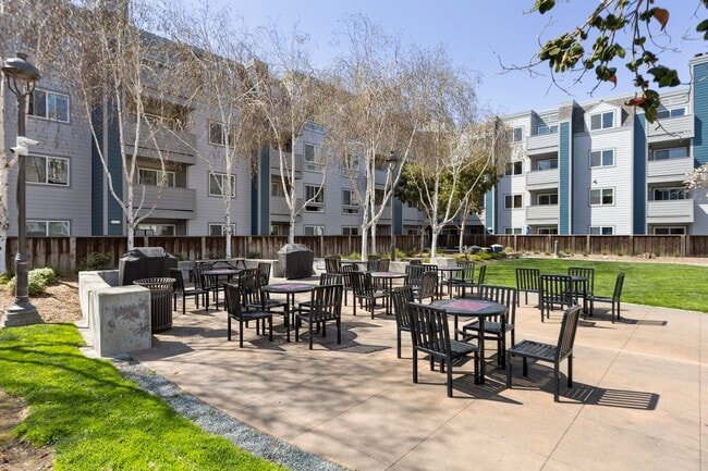 Building Photo - Sweet 1/1 condo with tons of amenities and a great location in Emeryville!