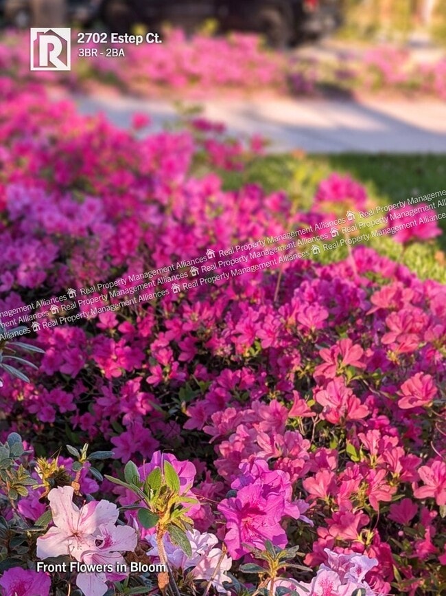 Building Photo - 2702 Estep Ct