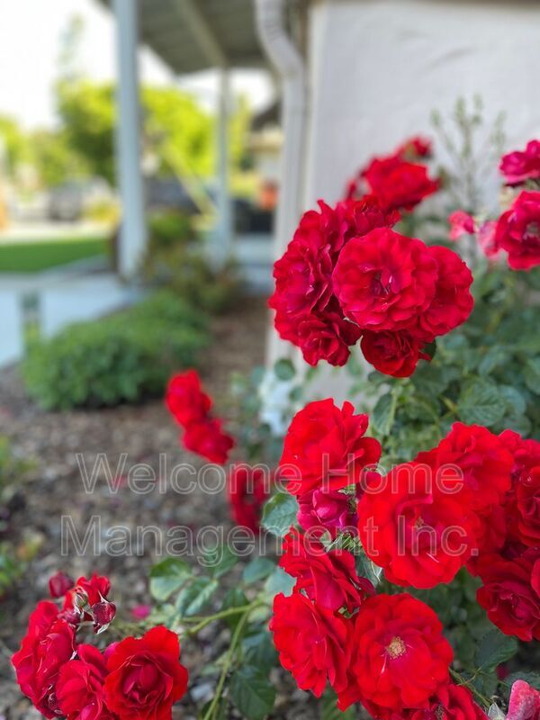 Building Photo - 3945 Euclid Ave