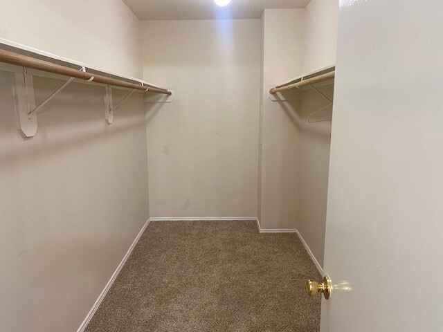 Building Photo - 5906 Drenner Park Ln