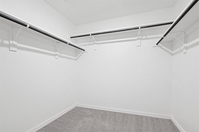 Building Photo - 3513 Cricket Dr