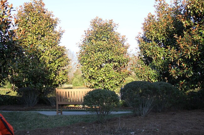 Building Photo - 10519 Royal Winchester Dr