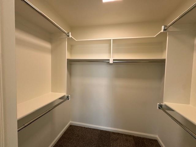 Building Photo - 3132 Mt Nebo Dr