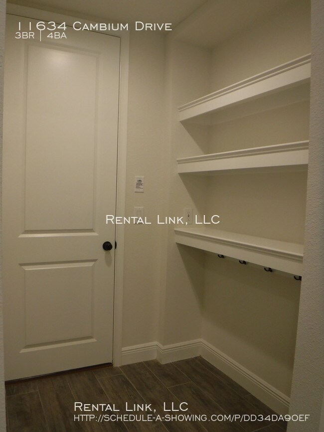 Brand New Luxury Townhouse in Boyette Park 11634 Cambium Dr Riverview