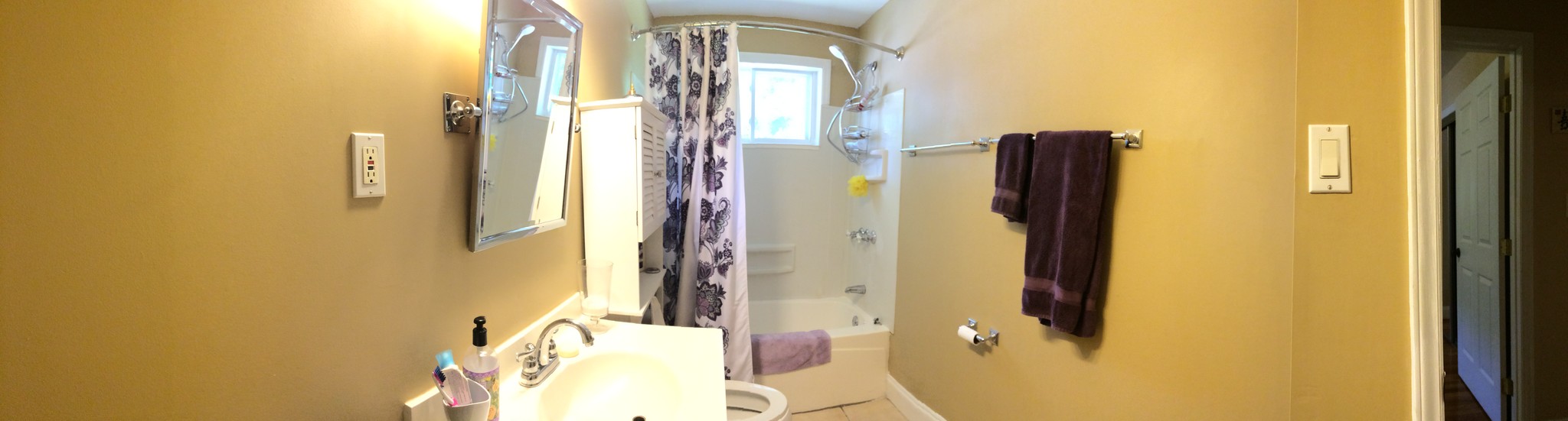shower - 603 Maplewood Ave