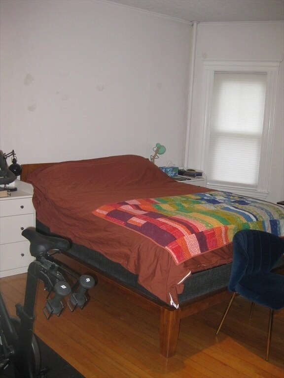 Building Photo - 45 Wellesley Park