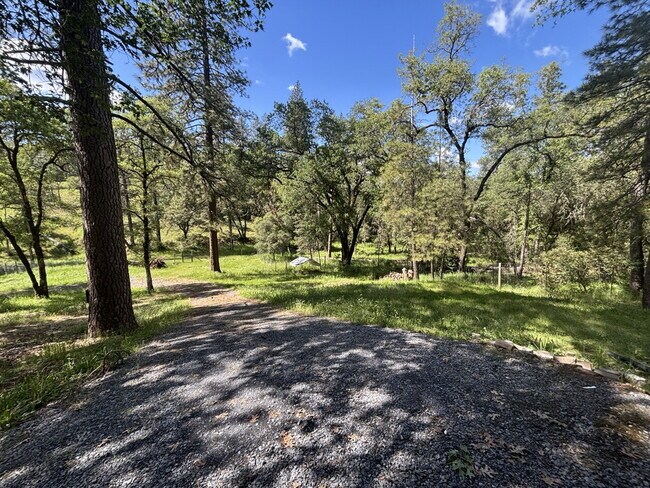 Building Photo - Spacious 2,048sf 3-bed home on acreage in Garden Valley!