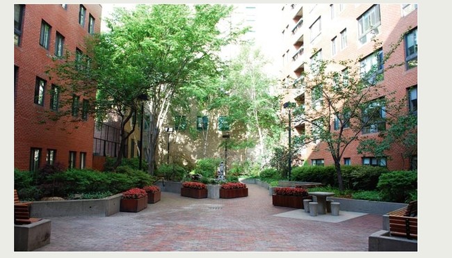 Courtyard - South Cove Plaza East