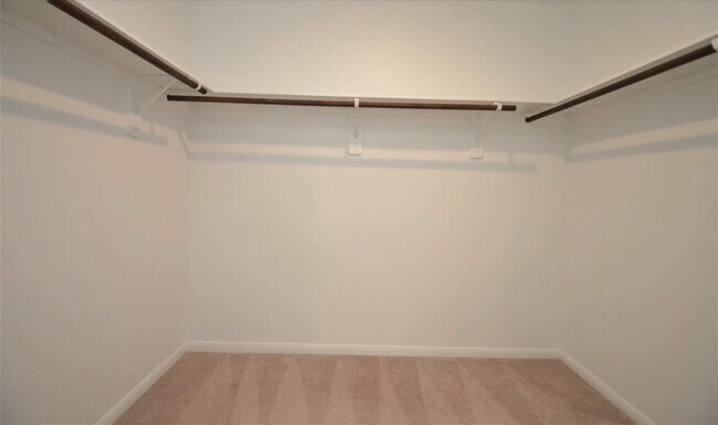 Building Photo - 16412 Big Hickory Dr