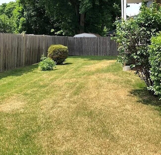 Building Photo - 43 Daniels St