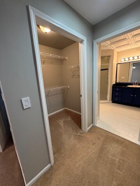 Building Photo - 8483 Towne Center Cir