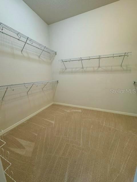 Building Photo - 7450 Ambleside Dr