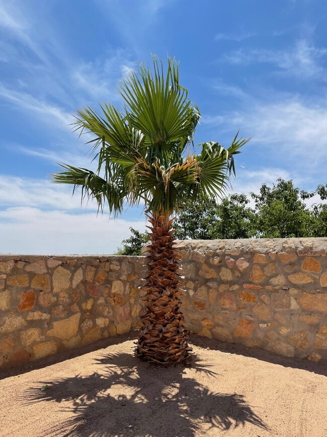 Building Photo - 12960 Cozy Cove Ave