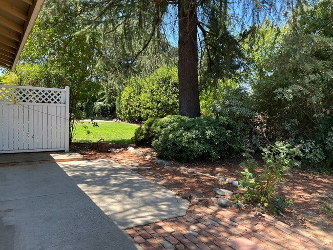Building Photo - Great 1 bedroom 1 bathroom cottage on wooded lot in Citrus Heights