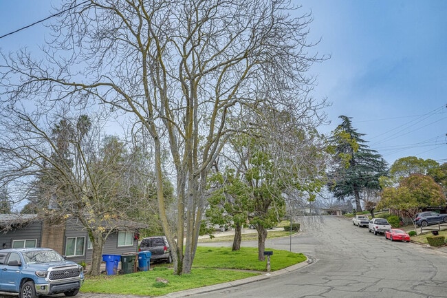 Building Photo - 1142 Temple Dr
