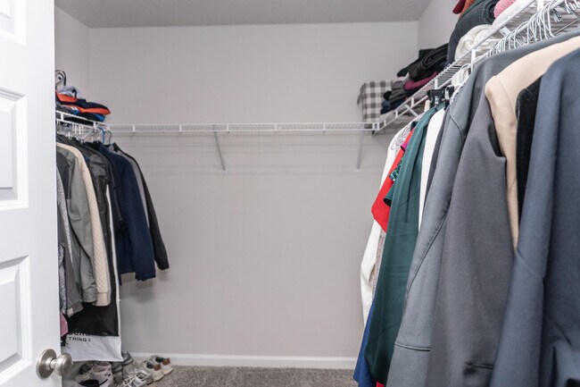 Building Photo - 3431 Phoenix Ct