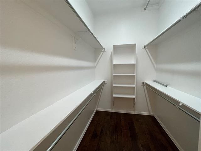 Building Photo - 8304 Rayburn Ln