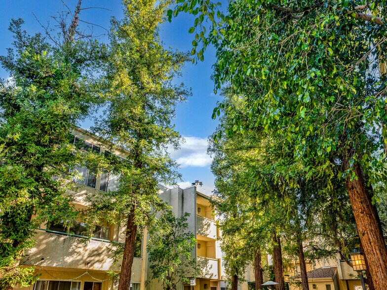 Building Photo - 7800 Topanga Canyon Blvd