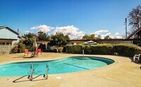 Building Photo - 2 Bedroom/ 2 Bath Condo with Community Pool
