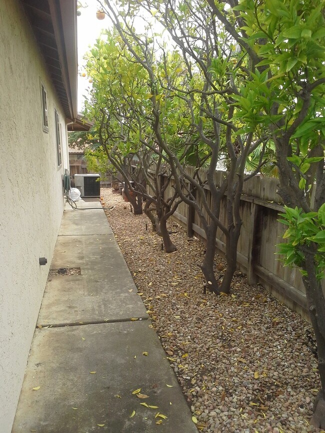 Building Photo - Classic 4Br/2Ba Single Level Home in Ranch...