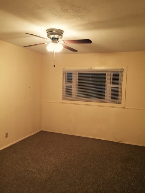 Building Photo - HOME NEAR UNIVERSITY NEW CARPET