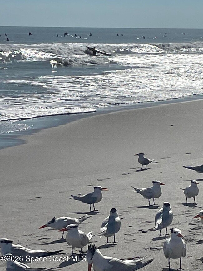 Building Photo - 763 Simeon Dr