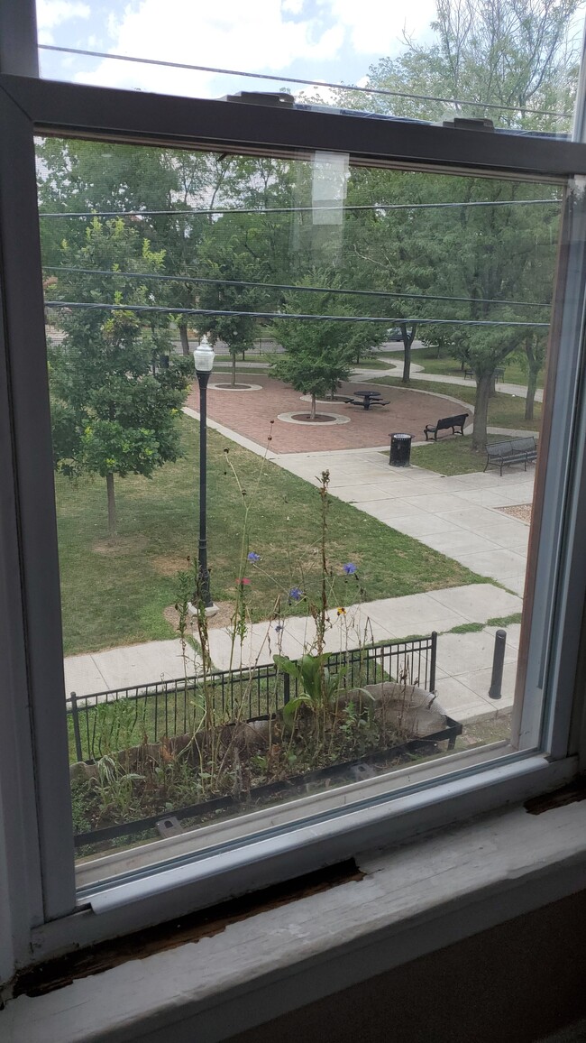 Blackburn Park View from kitchen, upstairs &amp; attic. - 241 Benton St