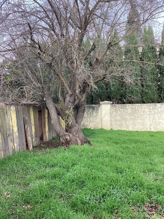 Building Photo - 3 Bedroom 1 Bath Single Family in West Sac...