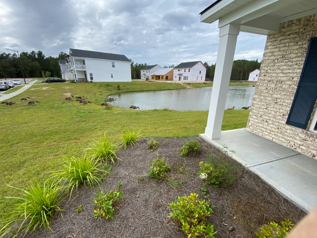 Building Photo - 16 Roxbury Dr