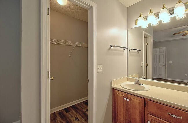 Building Photo - 210 Easy St