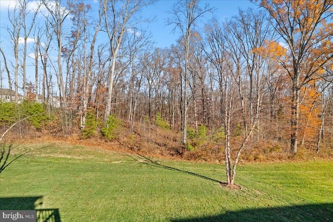 Building Photo - 15716 Rachel Pl