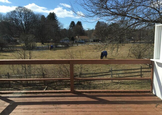 Backyard view - 3 Laur-Lin-Dee Ln