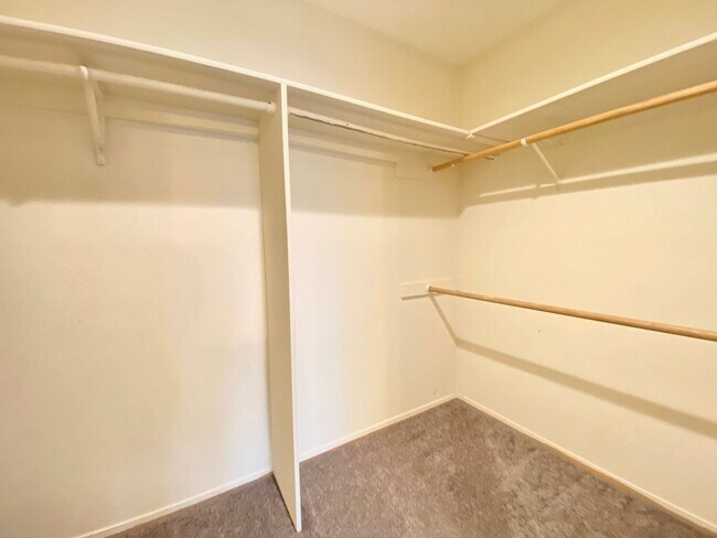 Building Photo - Spacious Home in Vista Primera