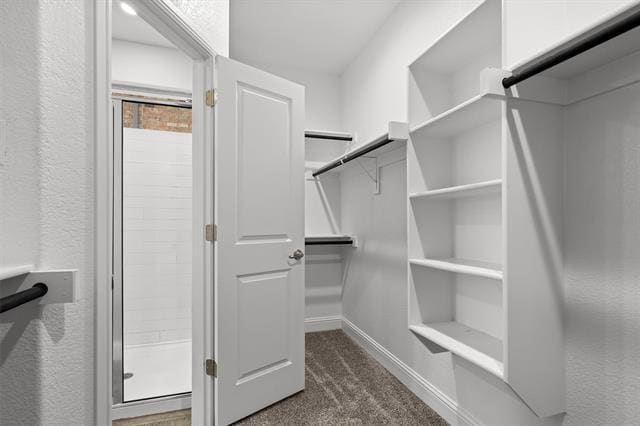 Building Photo - 825 Blackhorse Trl
