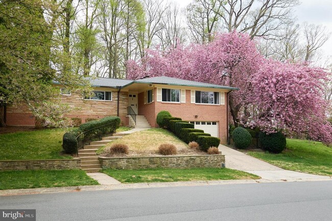 Building Photo - 6716 Tulip Hill Terrace