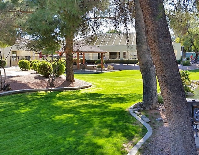 Primary Photo - Paradise RV Resort