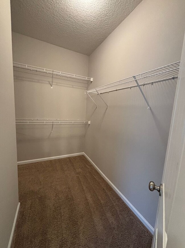 Building Photo - 134 Sunflower Cir NE