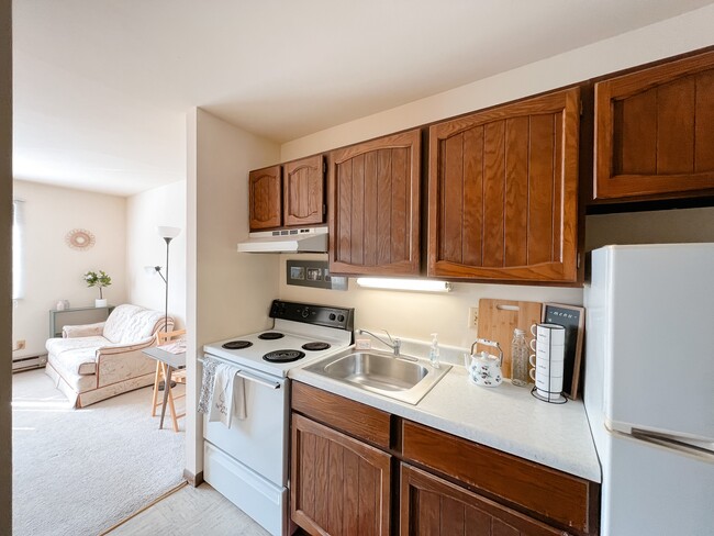 Bassett studio kitchen - Hellenbrand Apartments