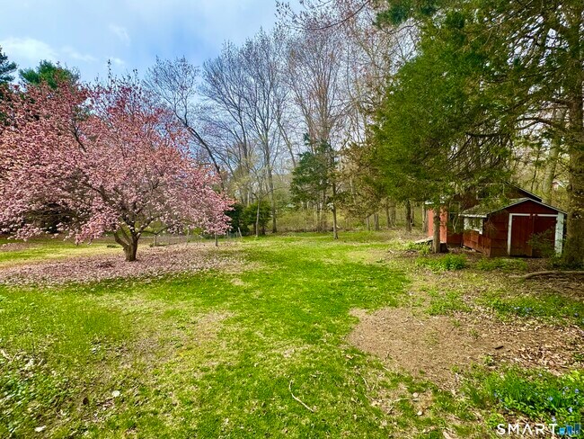 Building Photo - 14 Bower Rd