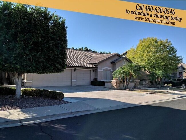Primary Photo - Spacious Home in North East Mesa!