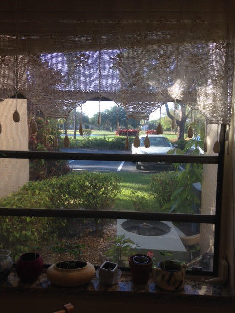 Building Photo - 8425 Casa Del Lago