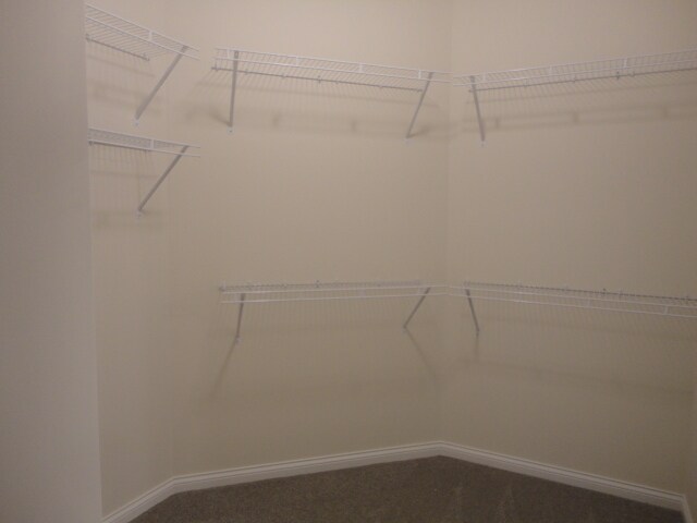 Building Photo - 6607 Blue Ridge Ct