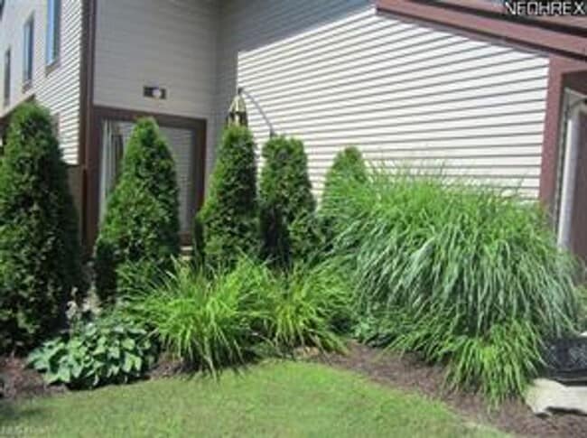 Building Photo - Condo for Rent Richmond Heights