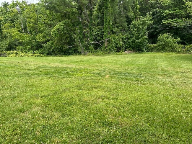 Building Photo - IMMACULATE, completely remodeled, one leve...