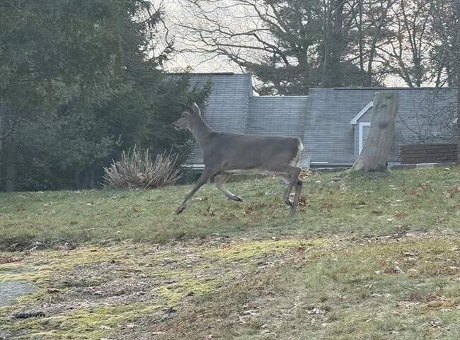 Building Photo - 2 Woodside Dr