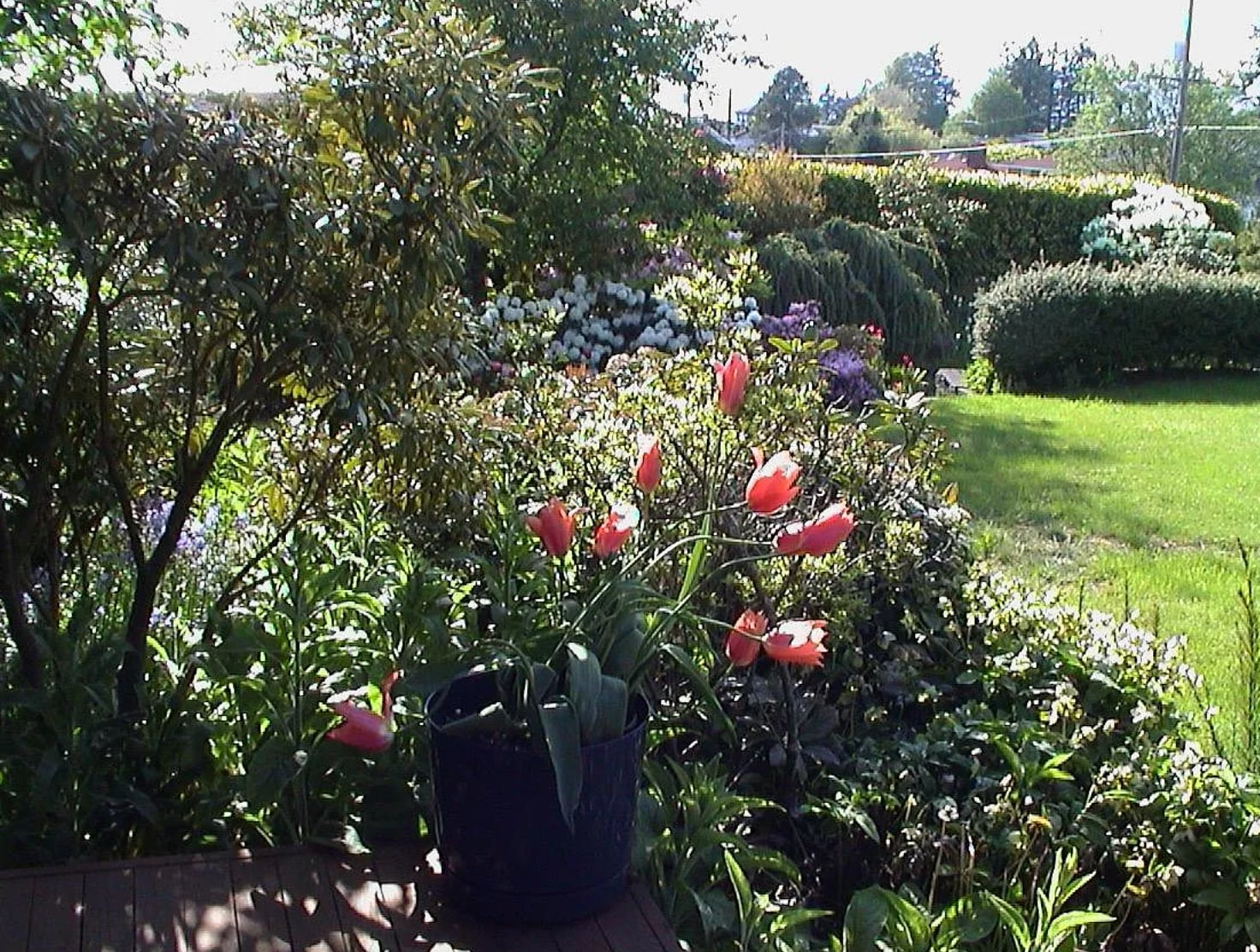 springtime - 2129 NW 201st St