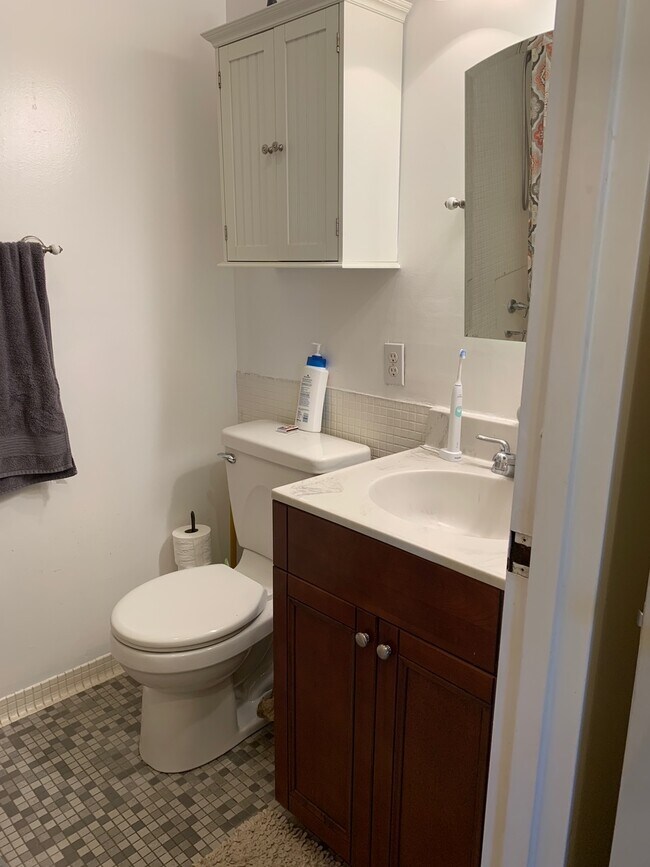 Master bathroom - 389 N St SW